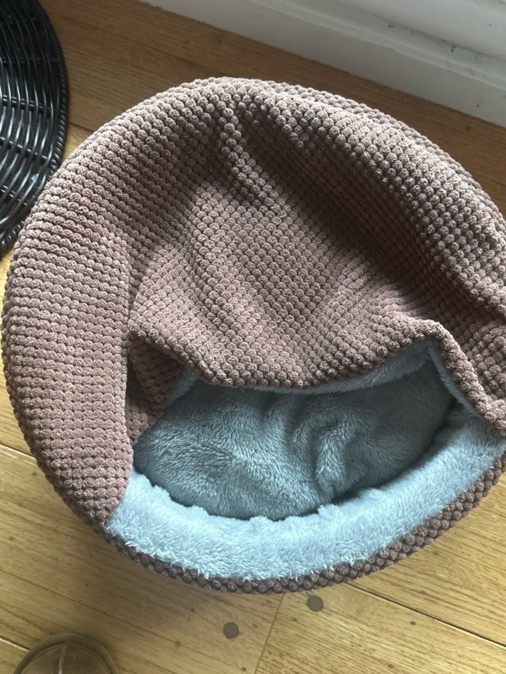Kitten bed